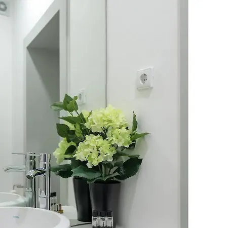 Amaoporto - St. Ildefonso Apartamento *